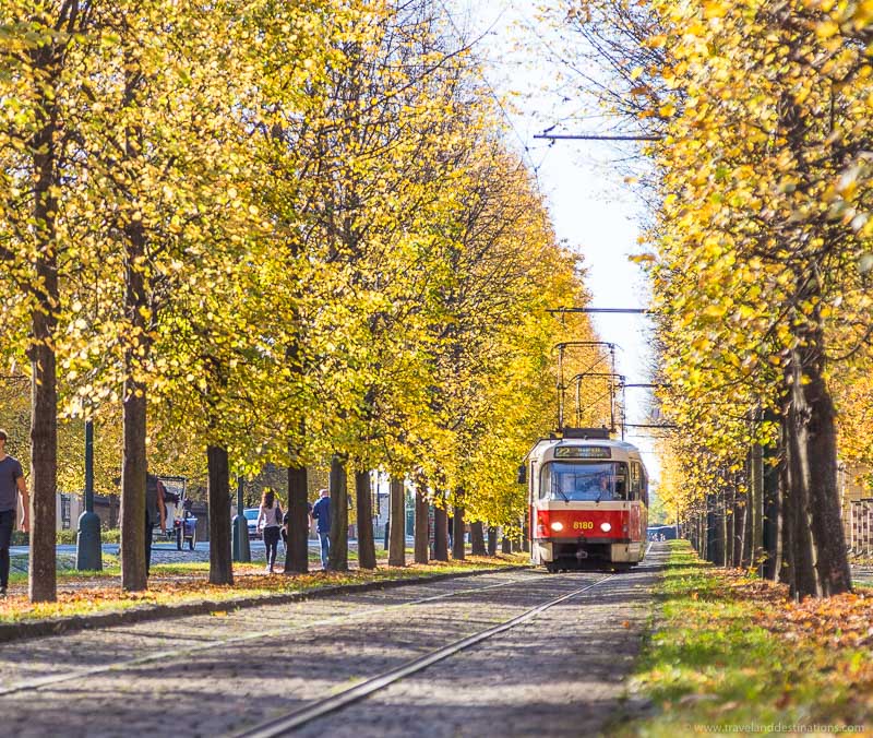 Framing with trees in the autumn