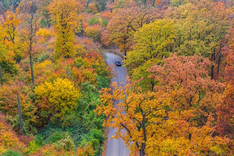 High views in the autumn with colourful trees