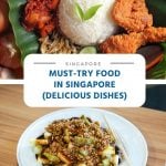 Must-Try Food in Singapore (10 Delicious Dishes)