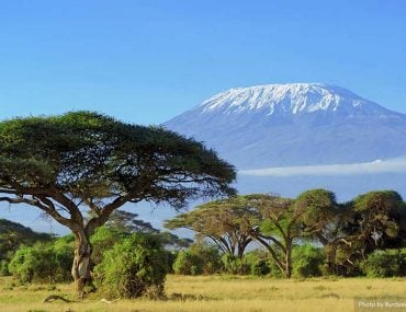 Kilimanjaro