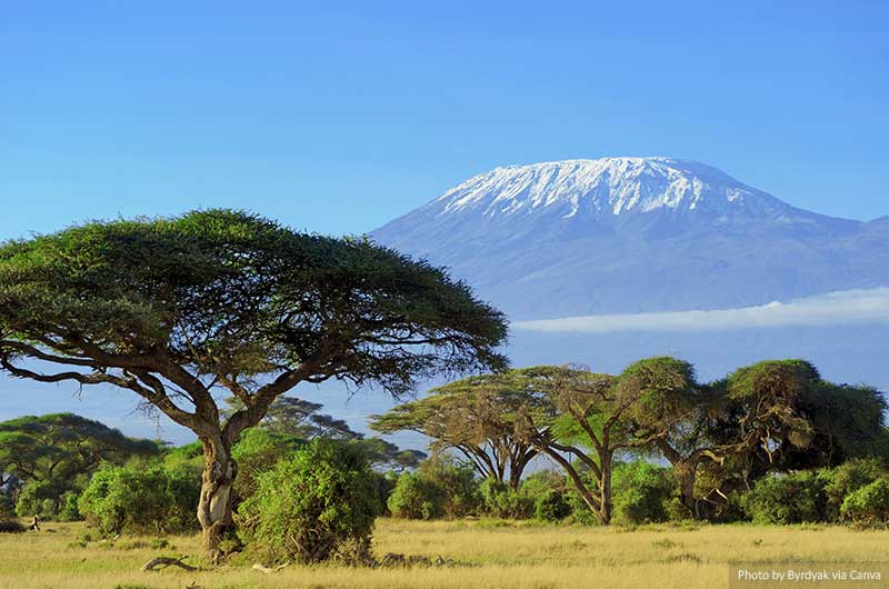 Kilimanjaro