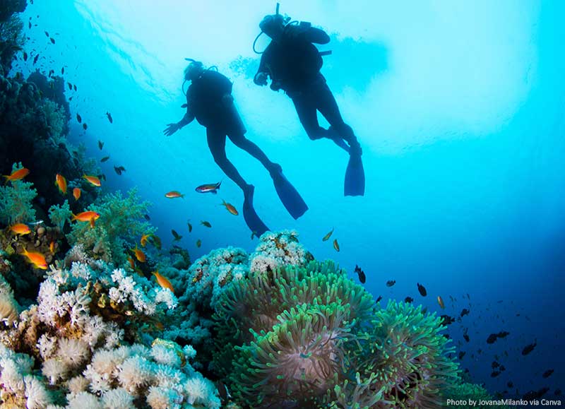 Two people scuba diving