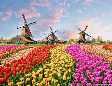 Dutch windmills near the canal in Zaanstad village, Zaanse Schans, Netherlands