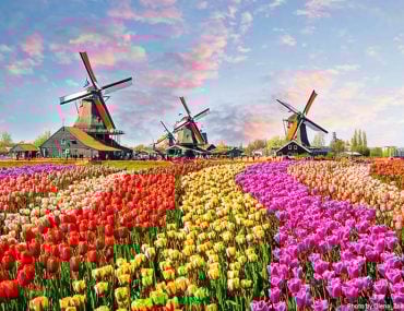 Dutch windmills near the canal in Zaanstad village, Zaanse Schans, Netherlands