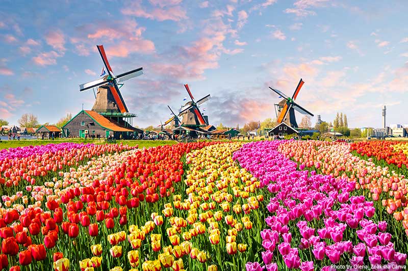 Dutch windmills near the canal in Zaanstad village, Zaanse Schans, Netherlands