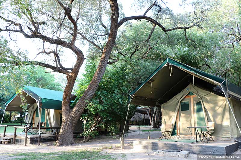 Safari Camp in Africa