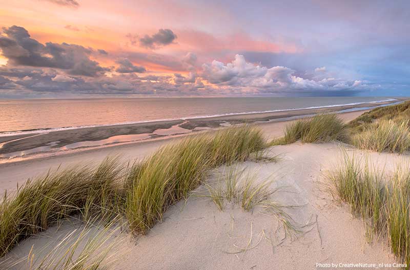 View over North Sea from dune