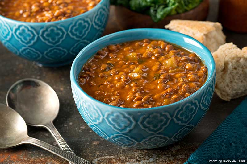 Curried Lentil Soup