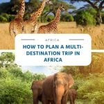 How to Plan a Multi-Destination Trip in Africa