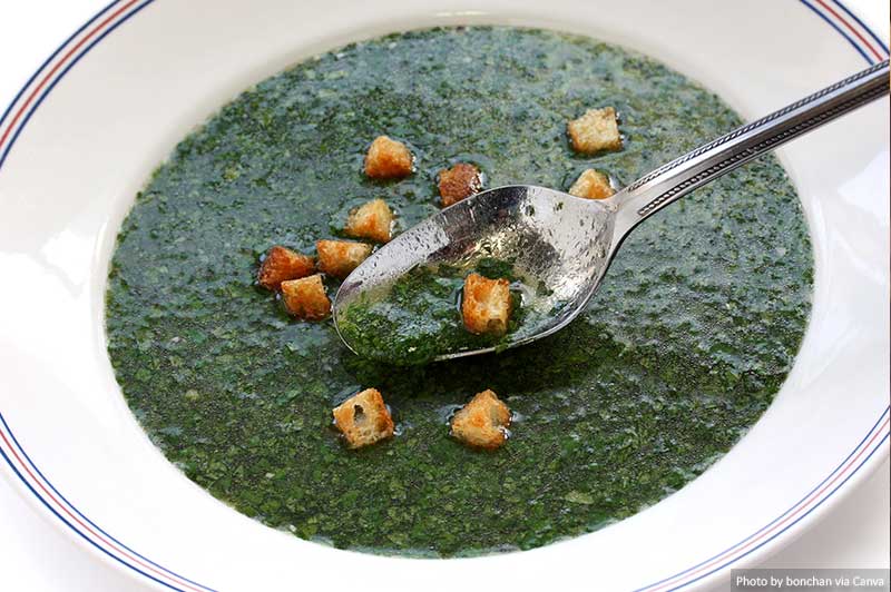 Molokhia soup