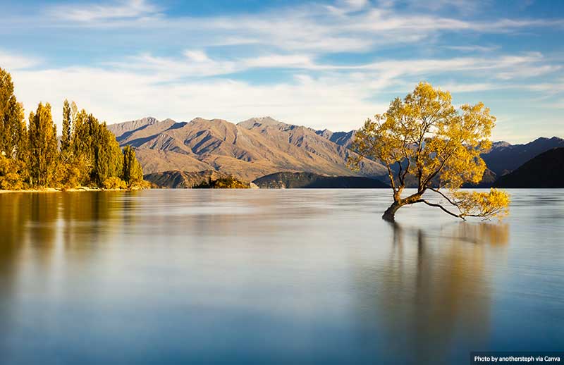 top 5 places to visit new zealand