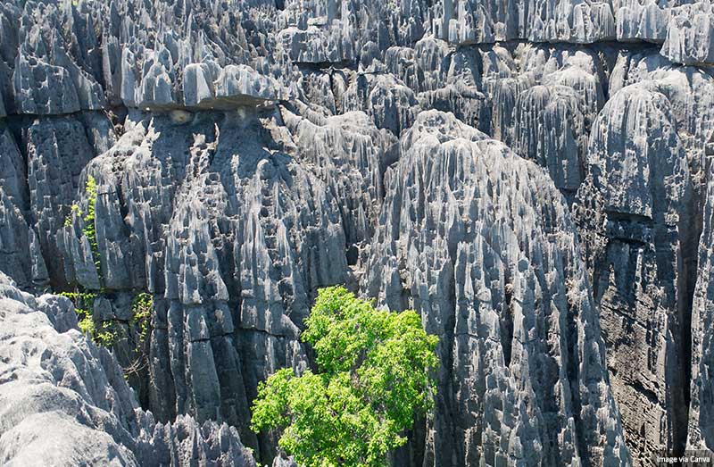 Tsingy de Bemaraha Reserve