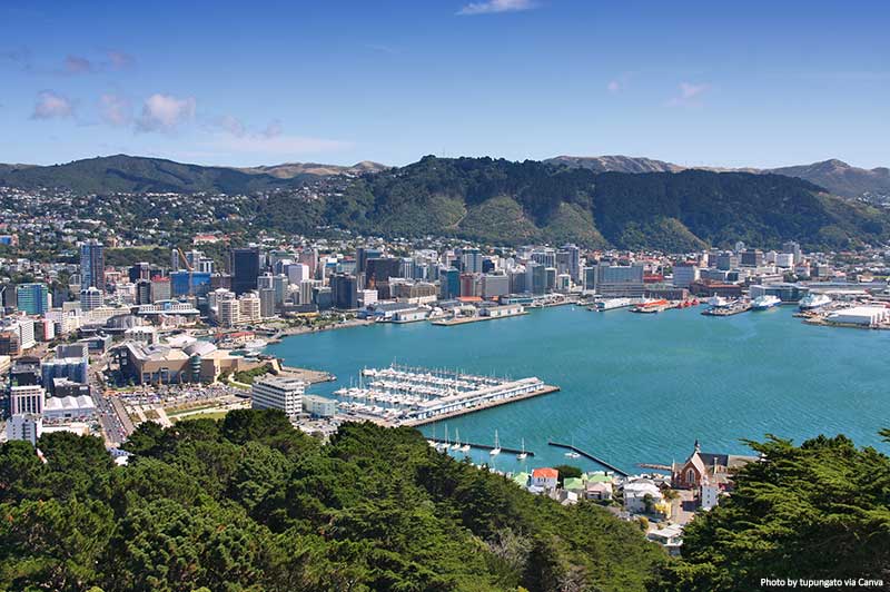 Wellington Skyline, New Zealand