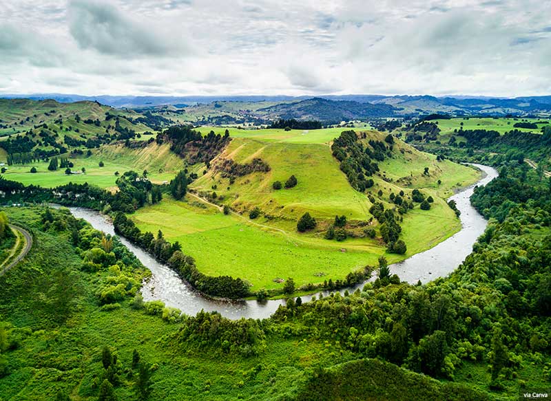 Whanganui river, New Zealand