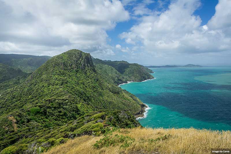 Whatipu Coast Walk Waitakere Ranges, New Zealand