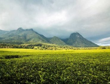 Mount Mulanje - Malawi