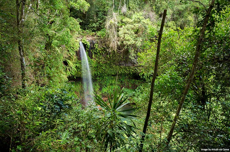 Small Waterfall in Amber Mountain National Park