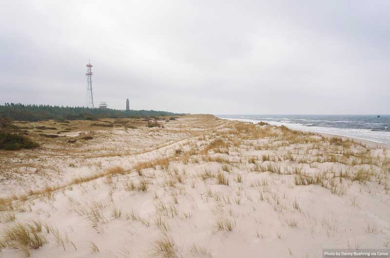 Beach in the Vorpommersche Boddenlandschaft National Park