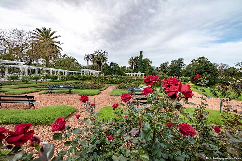 El Rosedal Rose Park at Bosques de Palermo (Palermo Woods) - Buenos Aires