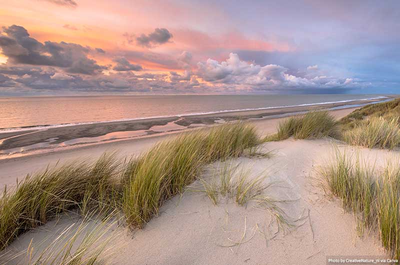 Dunes and coast - Schiermonnikoog