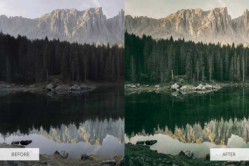 forest-lightroom-presets