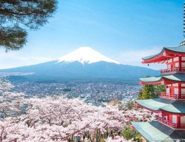Mount Fuji views with Cherry Blossoms