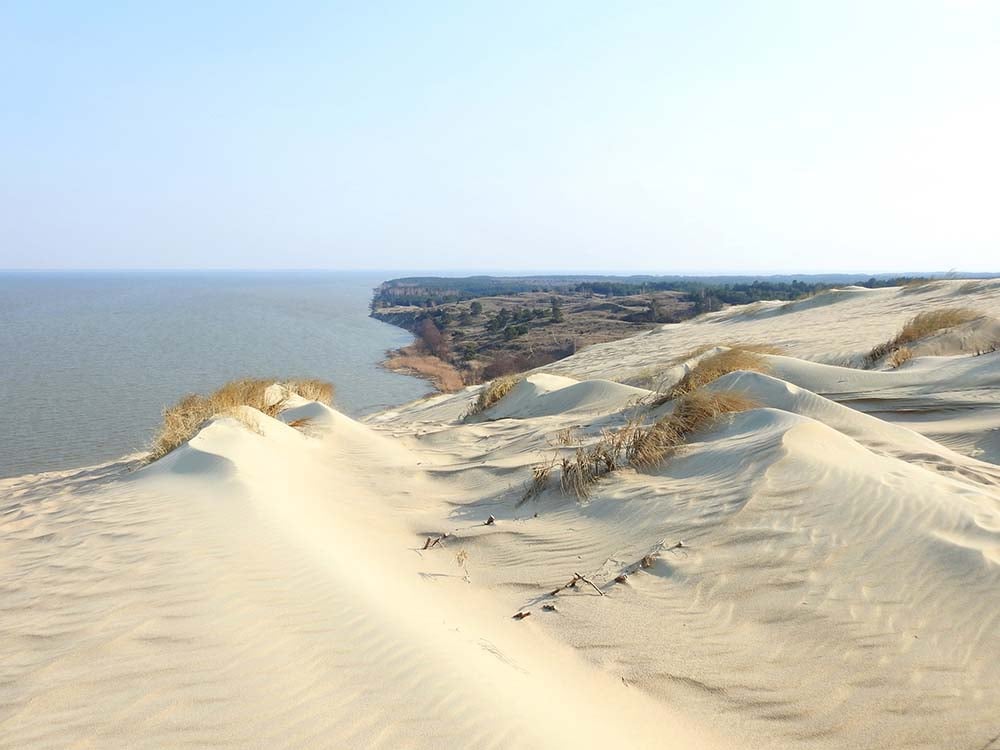 Neringa sand dunes