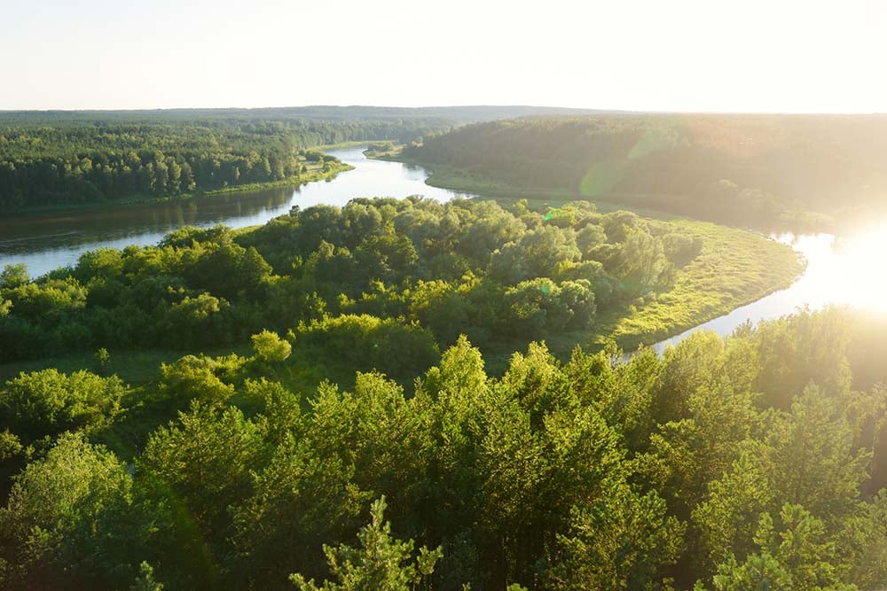 Views from Merkinė Observation Tower