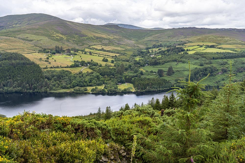 Wicklow Way, Ireland