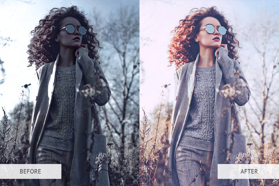 Film Lightroom presets example