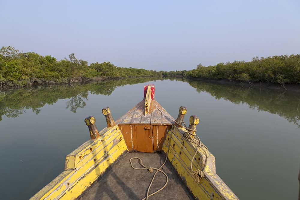 Sundarbans boat rides