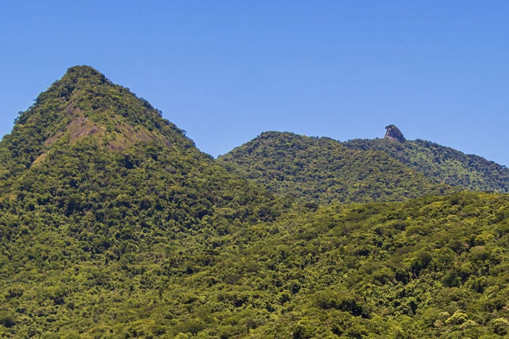 Pico do Papagaio