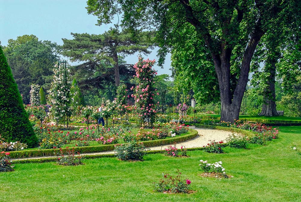 Jardin des Plantes