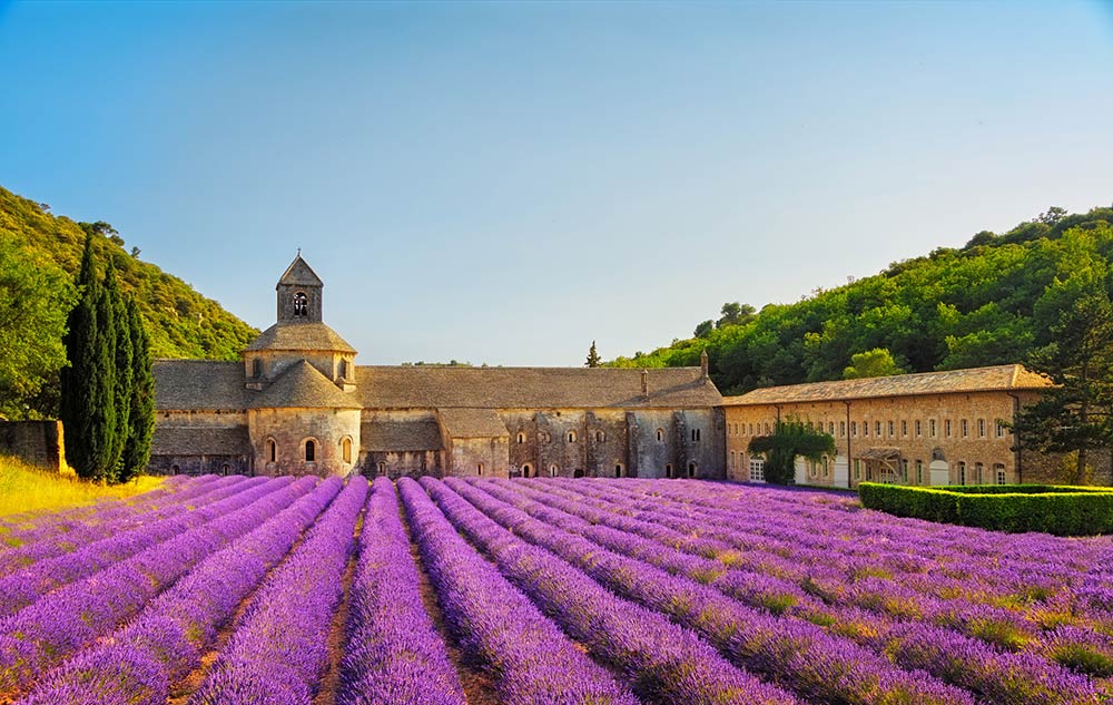 Abbey of Senanque in Provence
