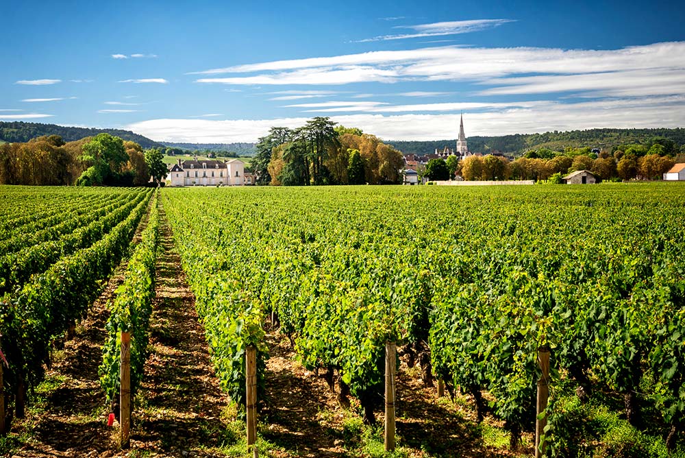 Bourgogne