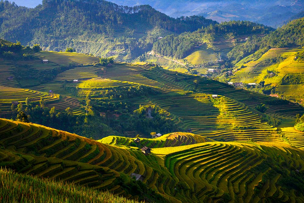 sapa