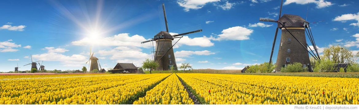 Netherlands Tulips and Windmills