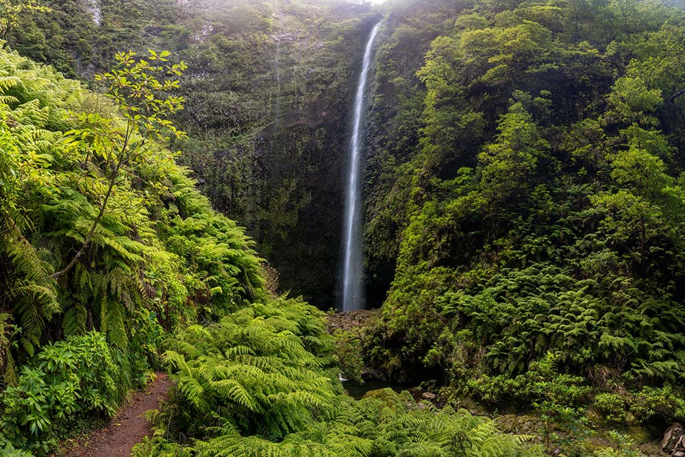 Caldeirao Verde