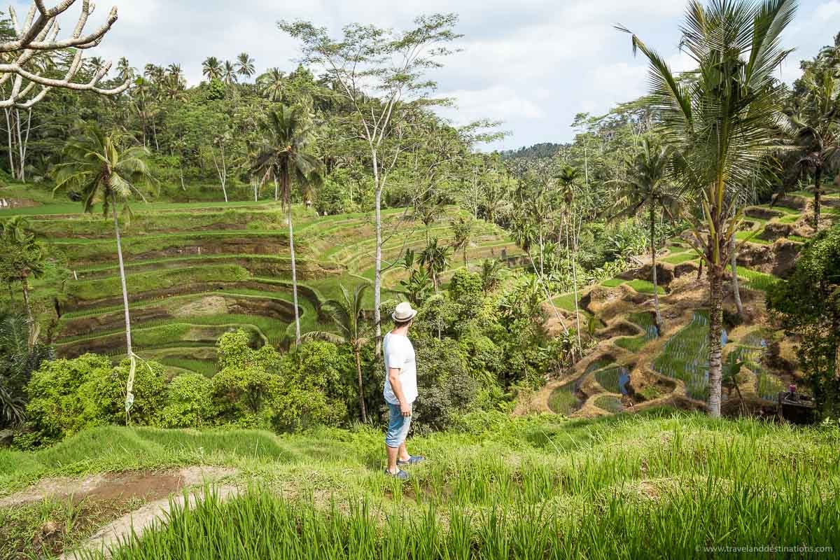 Exploring Tegalalang Rice Terrace