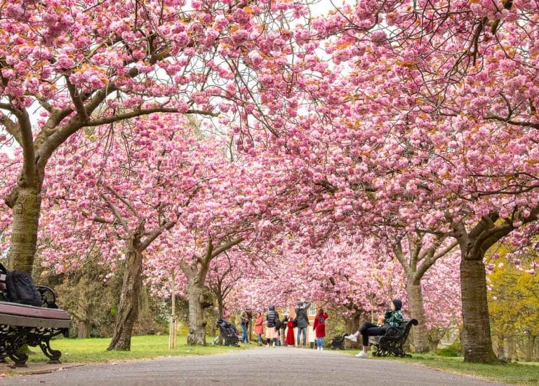 Photography Tips for Spring Photography