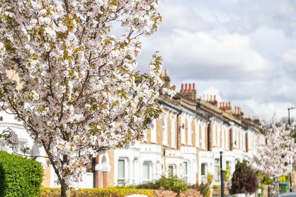 Streets in London in the spring